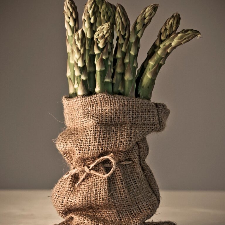 7 Amazing Health Benefits of Asparagus