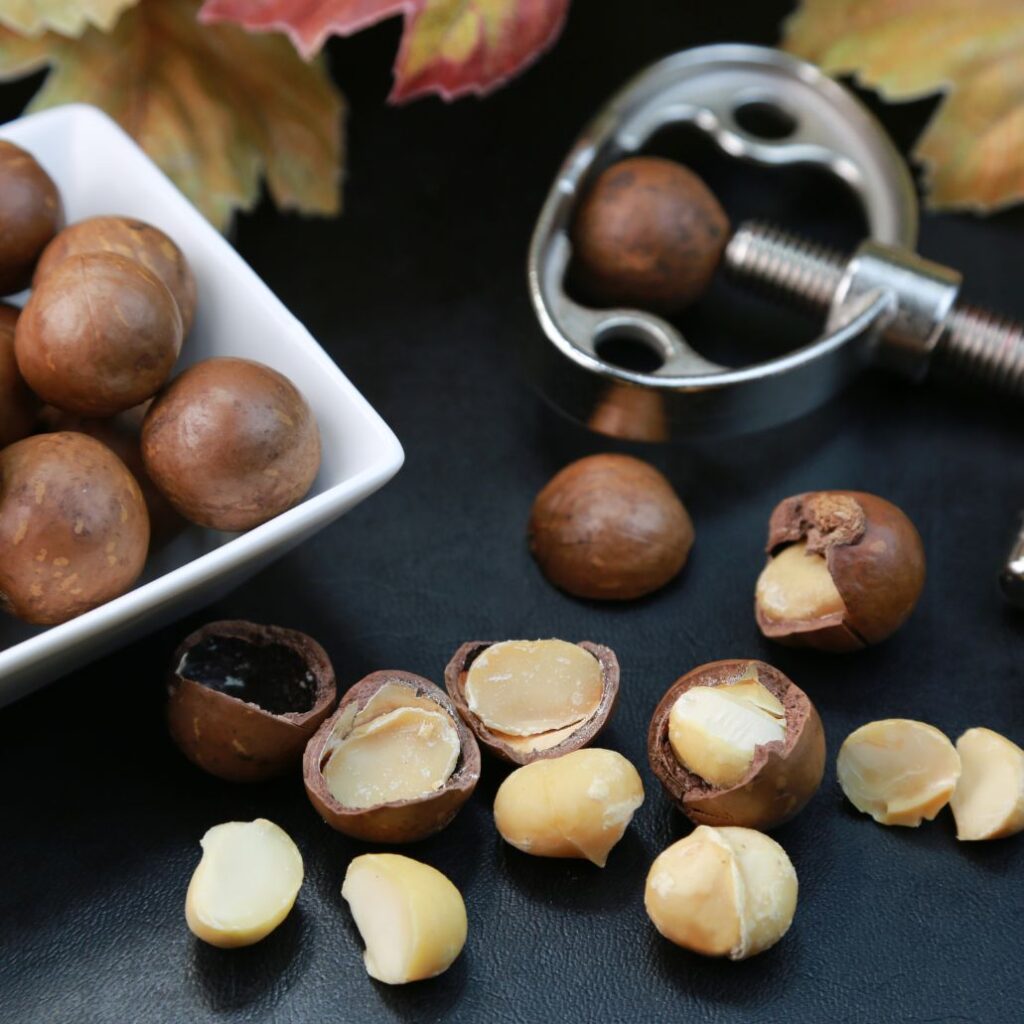 10 Amazing Health Benefits of Macadamia Nuts