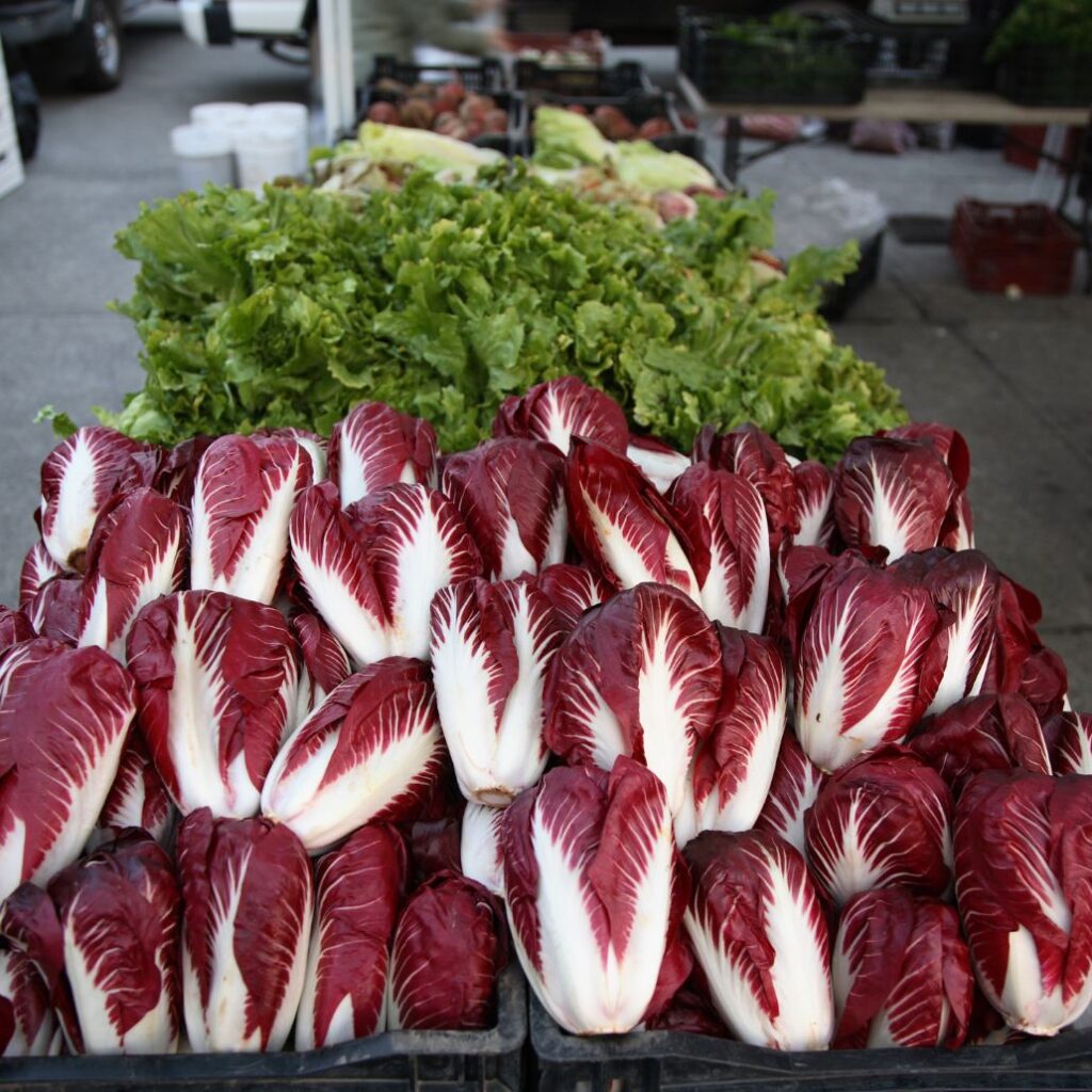 Uncovering the Surprising Health Benefits of Radicchio